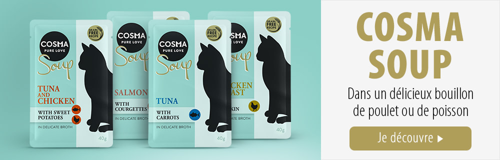 Cosma Soup