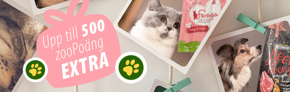 Upp till 500 zooPoäng på utvalda märken