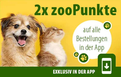 2x zooPunkte auf alles in der App!