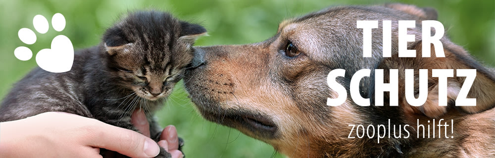 zooplus hilft! Wir unterstützen den Tierschutz