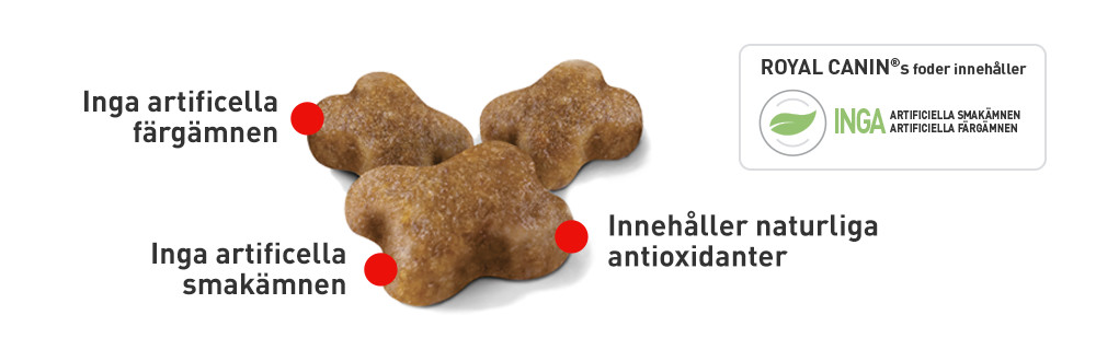 Tailor-made kibble for small mouths