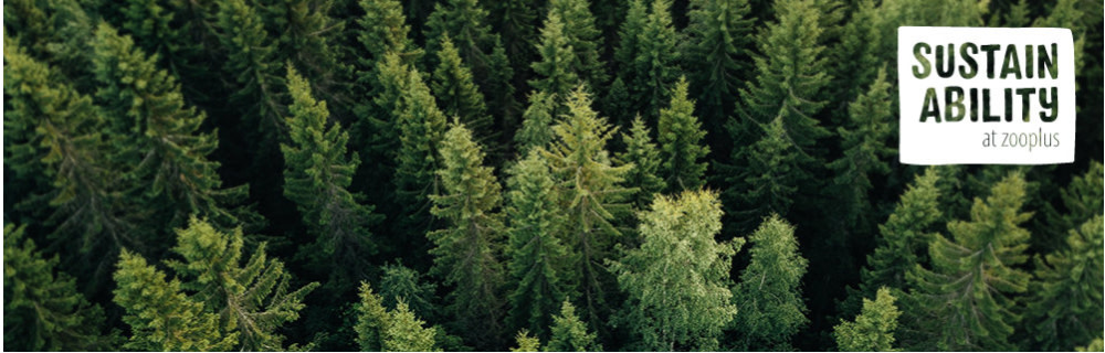 Unsere Engagement für die Umwelt