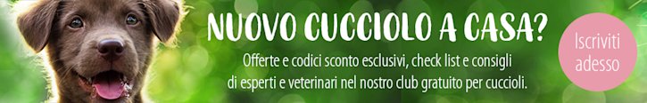 A tutto cucciolo A tutto cucciolo