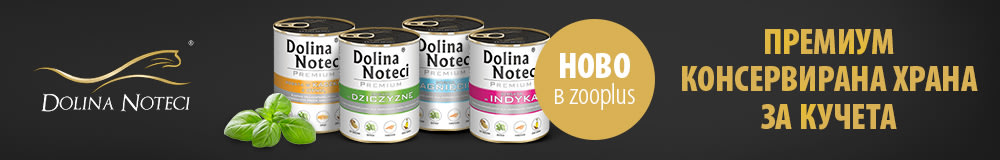 Dolina Noteci