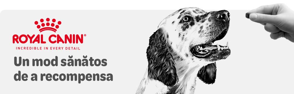 Royal Canin Snacks