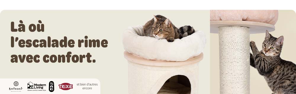 Là où l’escalade rime avec confort. Jusqu’à 25 % de réduction sur les arbres à chat.