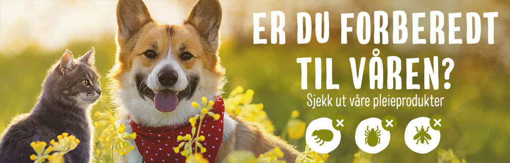 Forbered deg på våren