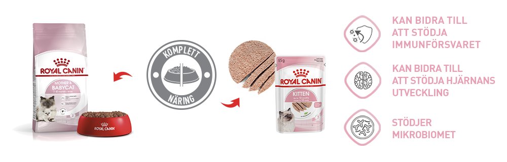 Royal Canin Kitten Mixed Feed