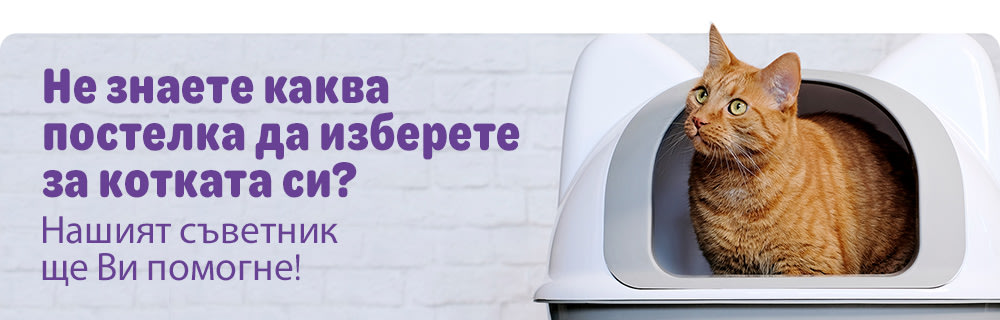 Съветник за котешка постелка