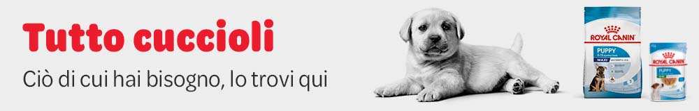 Cuccioli