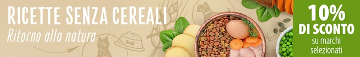 Alimenti senza cereali Alimenti senza cereali