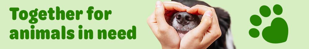 Together for Animals in Need