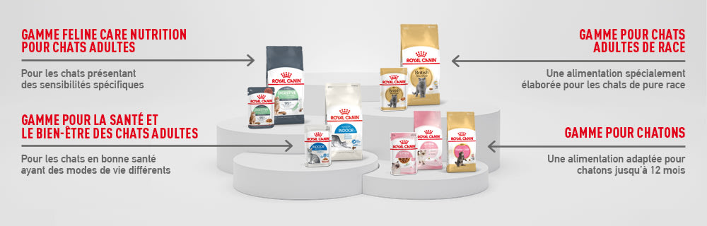 La gamme royal canin pour chat