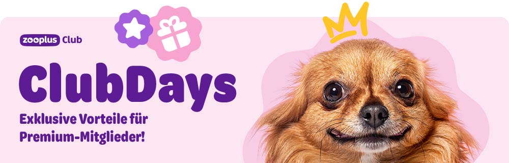 zooplus Club: Club Days. Exklusive Vorteile für Premium-Mitglieder!