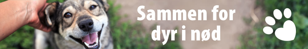 Hjelp oss å hjelpe dyr i nød