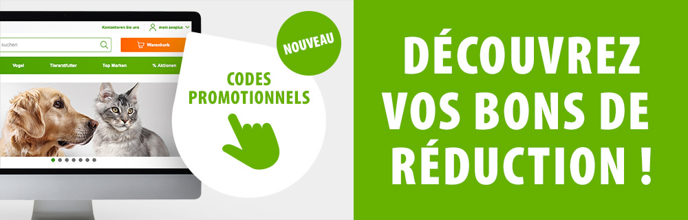Je découvre maintenant mes "Codes promotionnels" !
