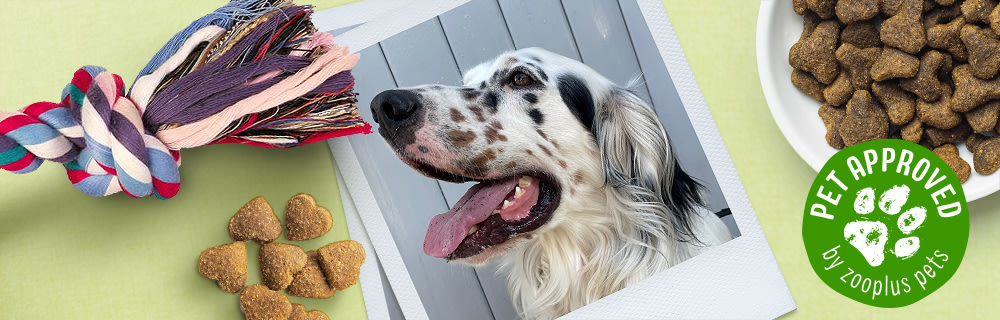 Pet approved Banner