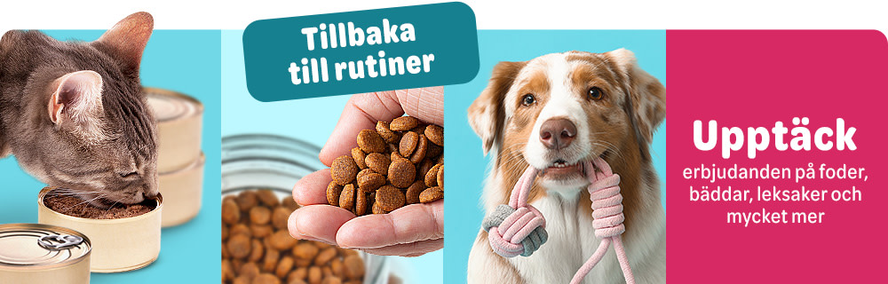 Tillbaka till Rutiner