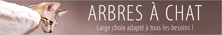 Tous les arbres à chat Tous les arbres à chat