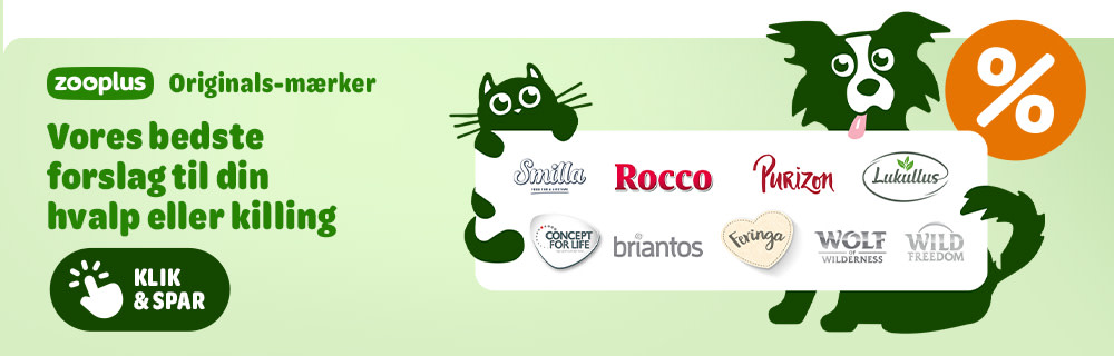 Vores bedste forslag til din killing eller hvalp
