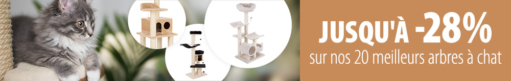 Offres exceptionnelles sur nos 20 meilleurs arbres à chat