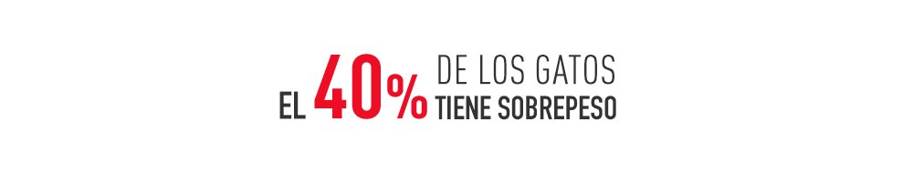 El 40 % de los gatos tiene sobrepeso