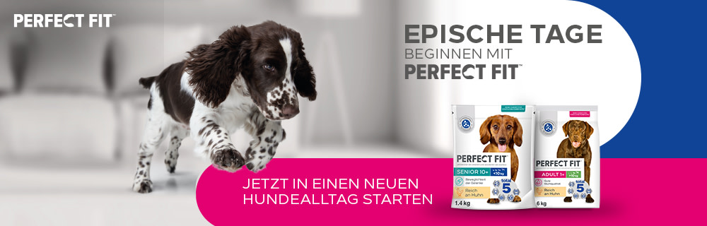 Perfect Fit Hund