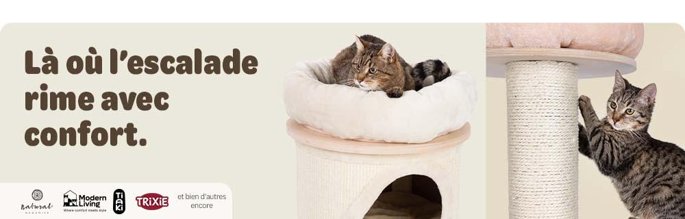 Quand le confort prend de la hauteur. Jusqu’à 25 % de réduction sur les arbres à chat.