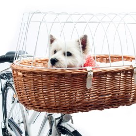 Велосипедные корзины для собак