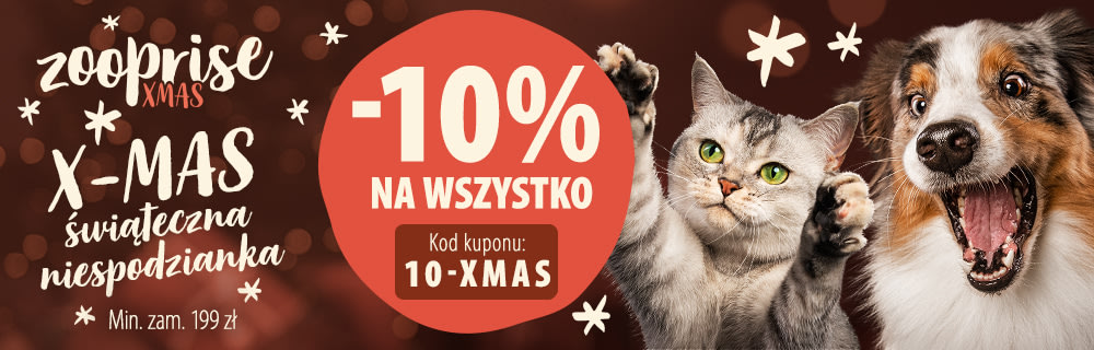 Rabat 10% na wszystko!