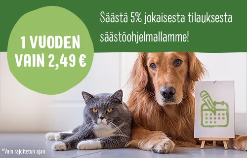 Säästäohjelma