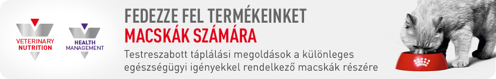 fedezze fel termékeinket macskák számára
