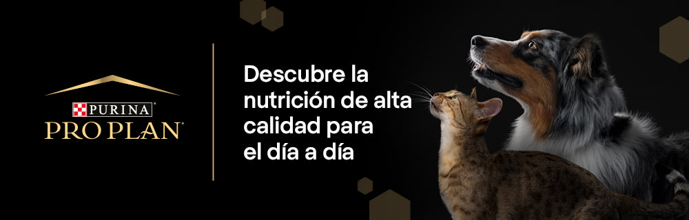 PURINA® PRO PLAN® Nutrición día a día
