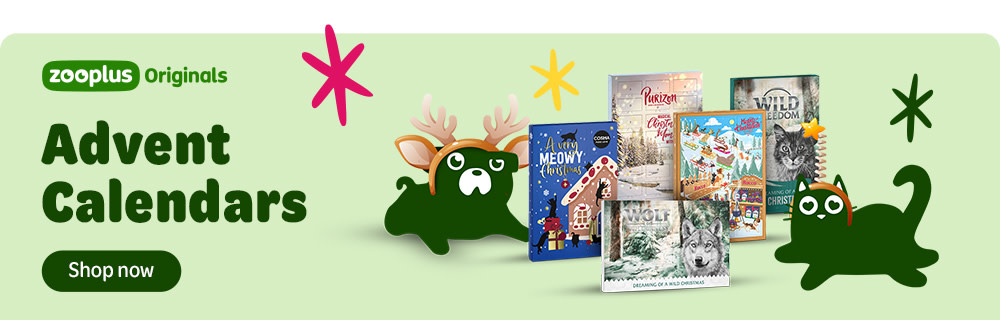 Advent Calendars: shop now