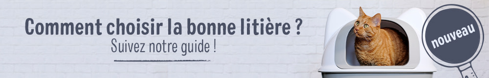 zooplus vous aide à choisir la bonne litière pour votre chat !