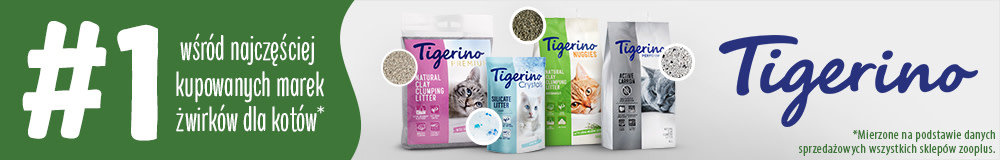 Najczęściej kupowany żwirek dla kotów