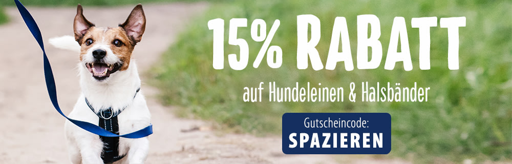 Jetzt 15% auf Leinen & Halsbänder für Hunde sichern