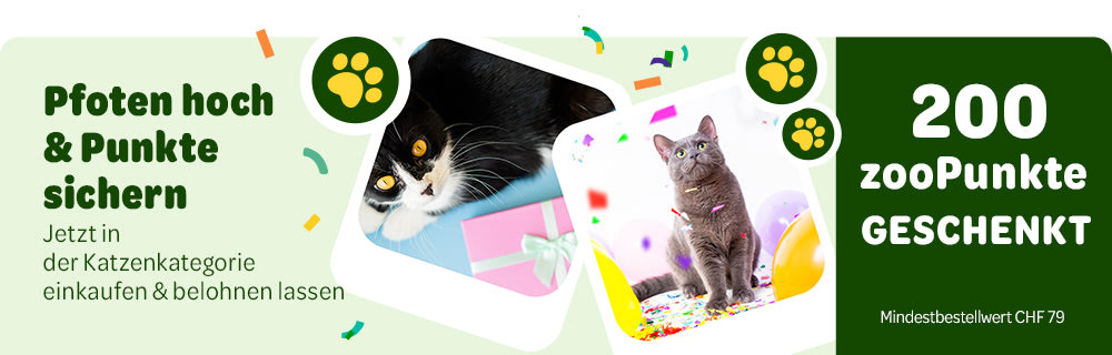 Pfoten hoch & Punkte sichern. Jetzt in der Katzenkategorie einkaufen & belohnen lassen - 200 zooPunkte geschenkt (Mindestbestellwert CHF 79)