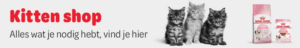 Kitten benodigdheden