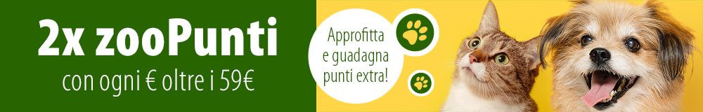 punti
