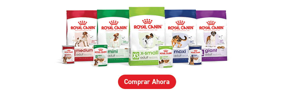 Descubre Royal Canin Size