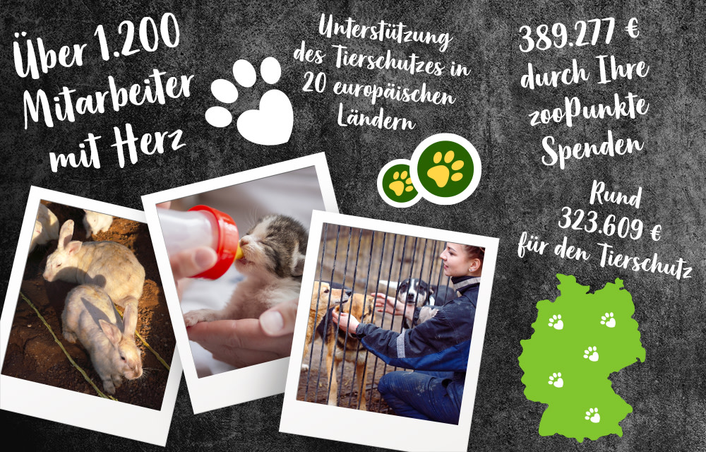 Mit Ihrer Untersützung konnten wir 2023 viel Gutes tun!
