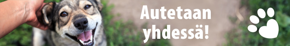 Autetaan yhdessä eläimiä hädässä!