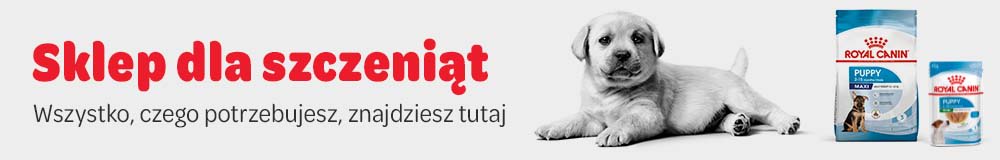 Karma i akcesoria dla szczeniąt