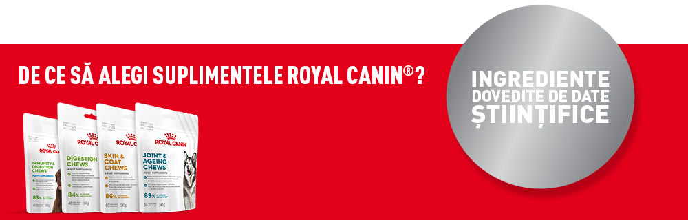 De ce să alegei suplimentele ROYAL CANIN®?