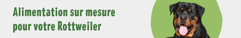 Alimentation sur mesure pour votre Rottweiler