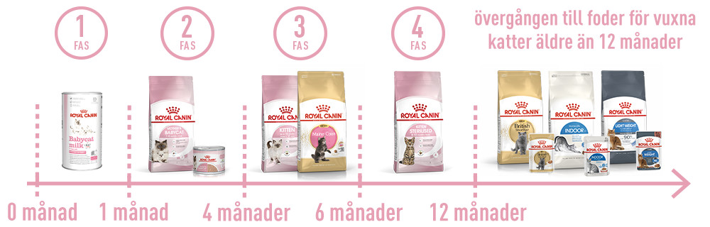 Perfect product for each stage