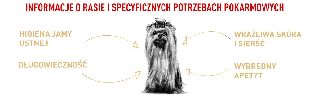 Informacje o rasie