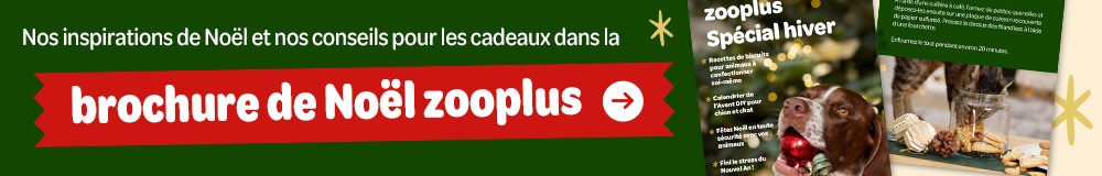Brochure de Noel zooplus