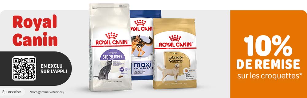10 % de remise sur les croquettes Royal Canin en exclusivité sur l'application